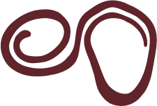 Soluna Jewelry Room, סטודיו לצורפות ביפו